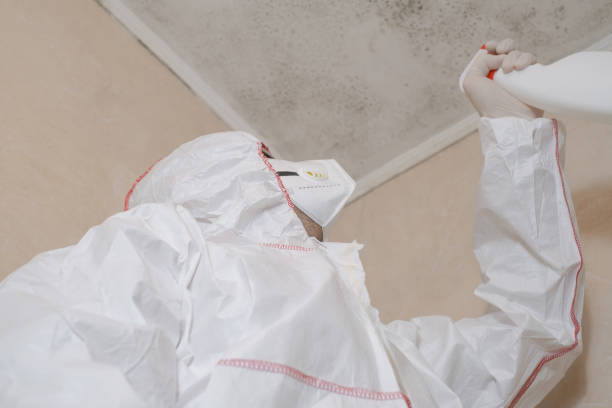 Best Mold Remediation  in Kerhonkson, NY