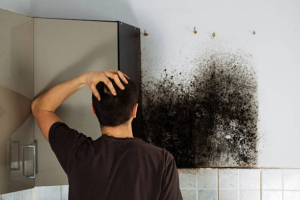 Best Residential Mold Removal  in Kerhonkson, NY